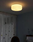 Glass Diffuser Flush Mount Ceiling Light