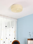 Glass Diffuser Flush Mount Ceiling Light