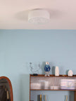 Glass Diffuser Flush Mount Ceiling Light