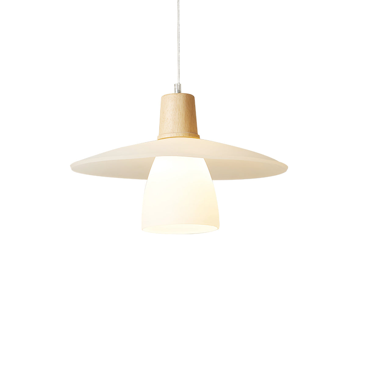 Frosted Glass Wood Rim Pendant Light