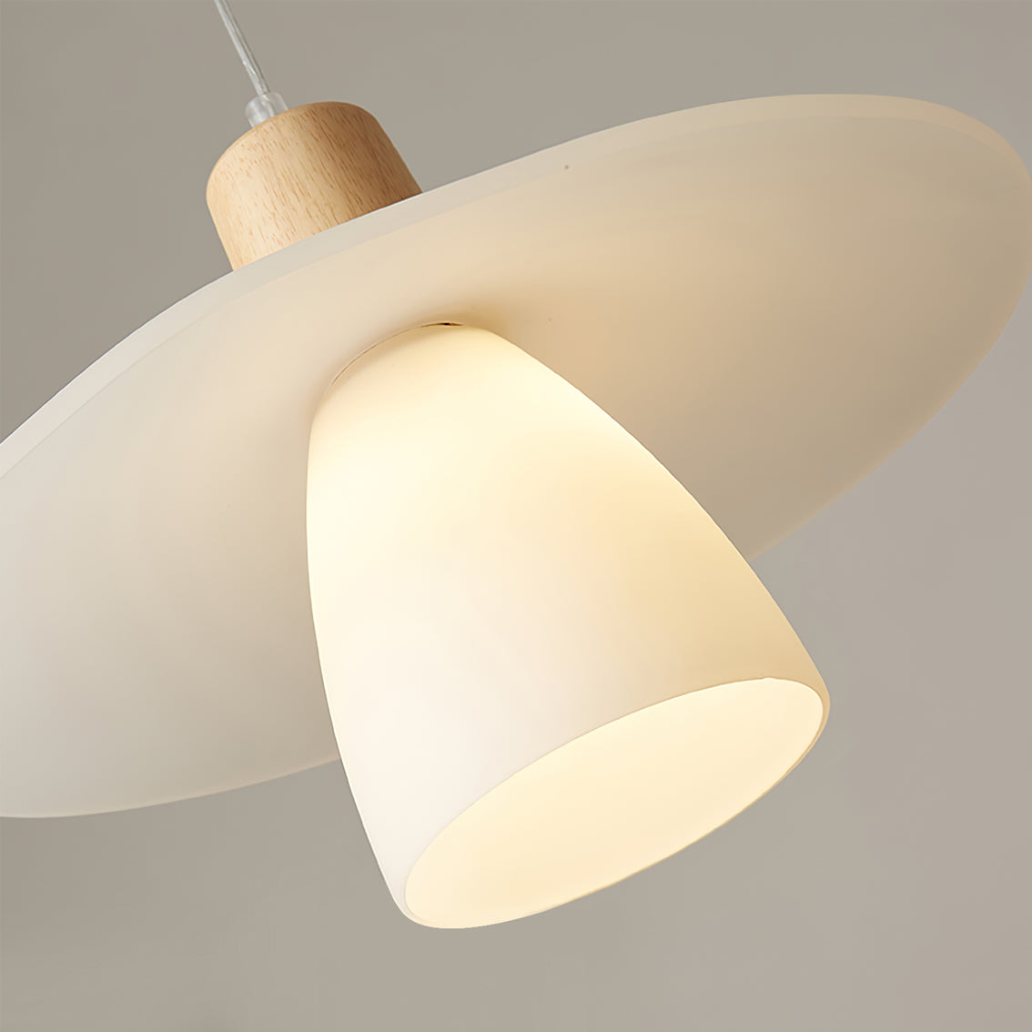 Frosted Glass Wood Rim Pendant Light