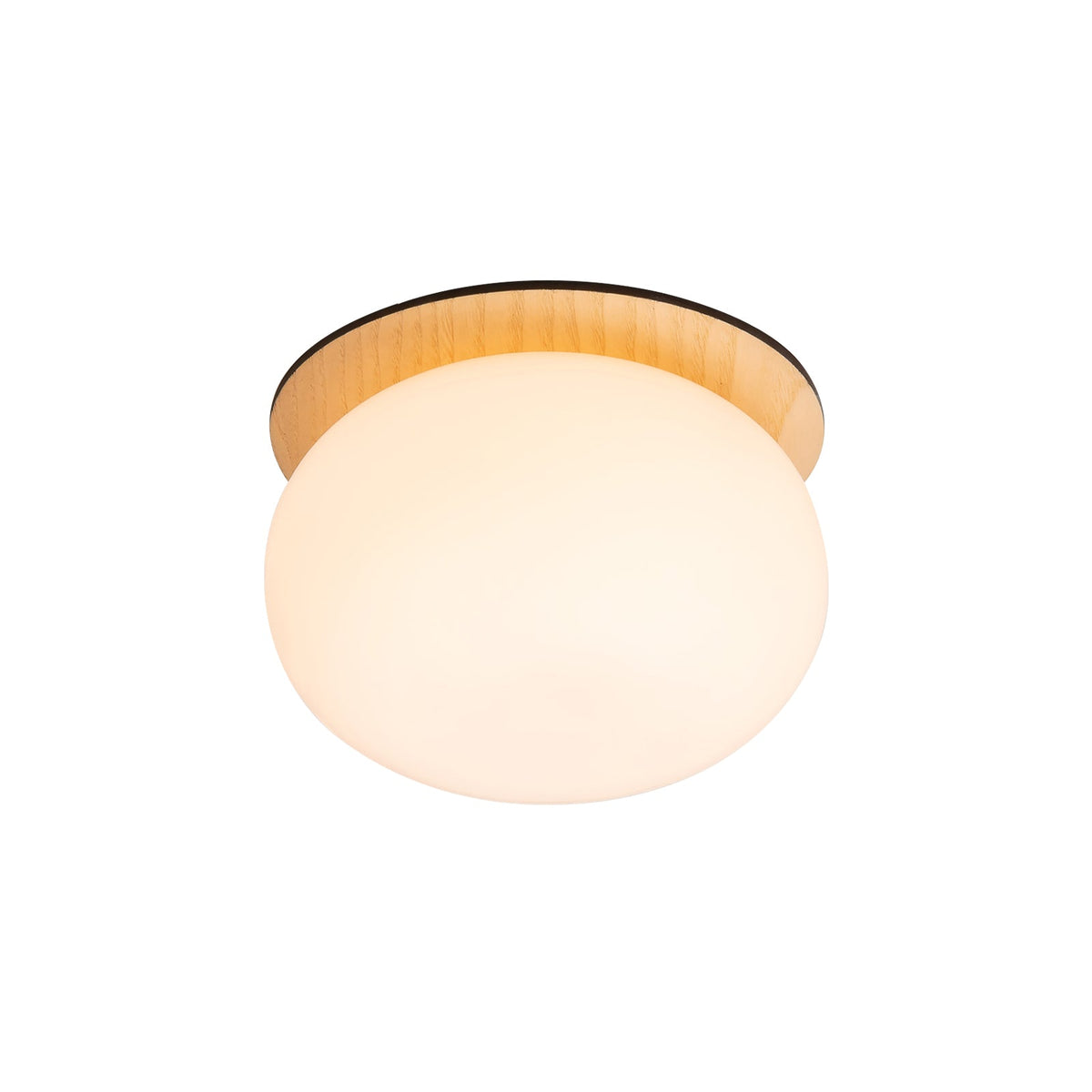 Opal Acrylic Disc Wall Light