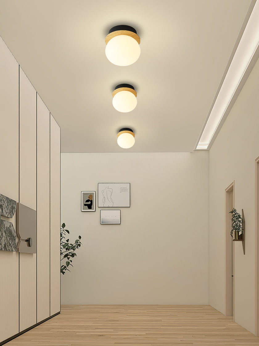 Opal Acrylic Disc Wall Light