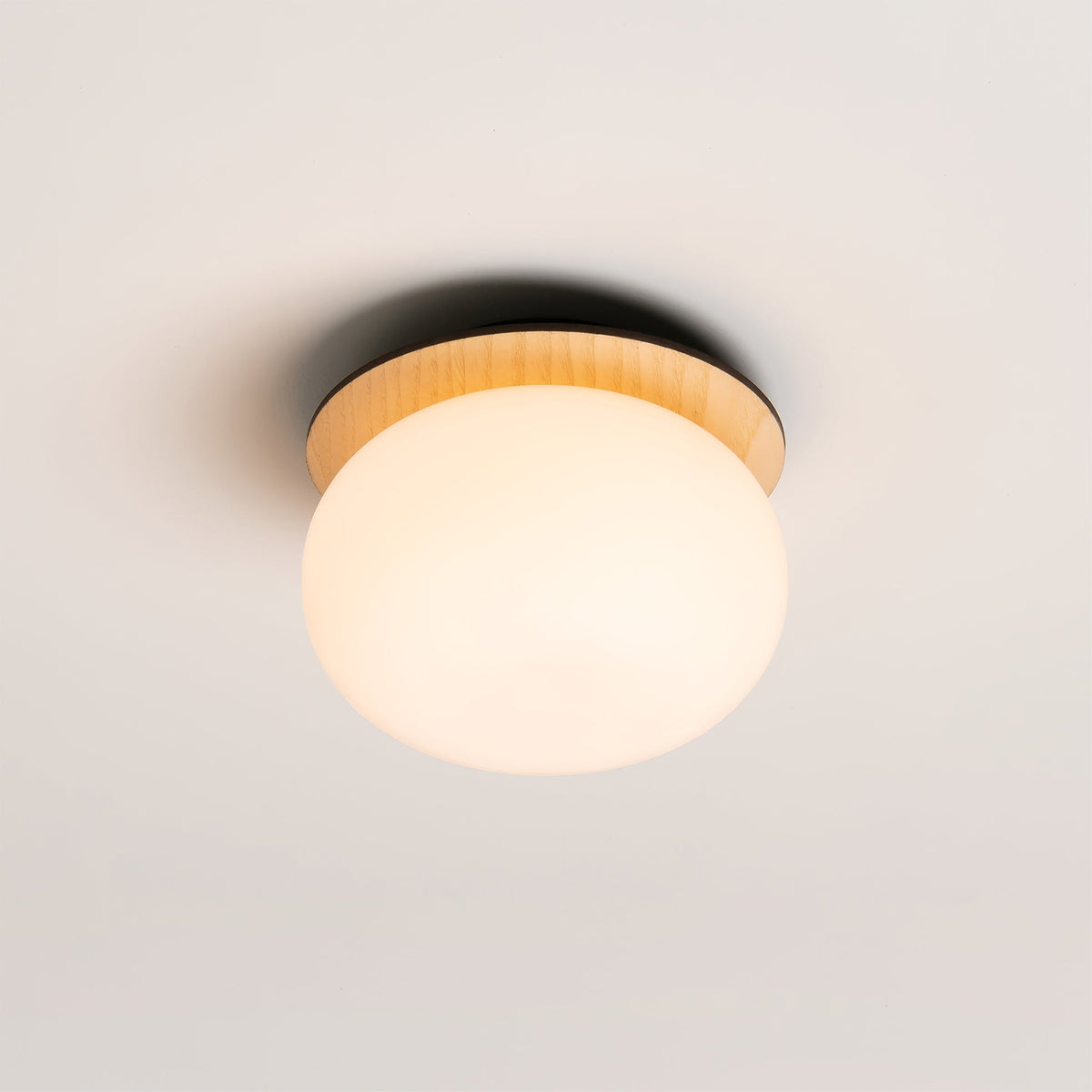 Opal Acrylic Disc Wall Light