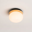 Opal Acrylic Disc Wall Light