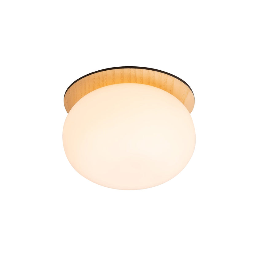 Opal Acrylic Disc Wall Light