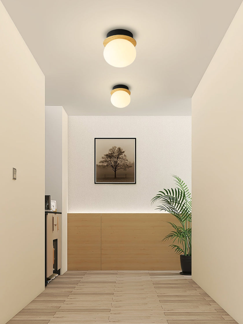 Opal Acrylic Disc Wall Light