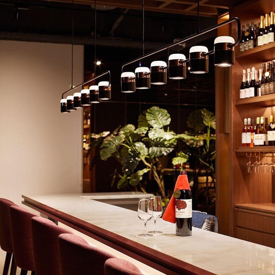 Iron Frame Tilting Pendant Light