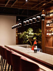 Iron Frame Tilting Pendant Light