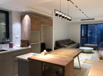 Iron Frame Tilting Pendant Light