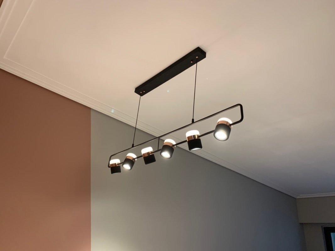 Iron Frame Tilting Pendant Light