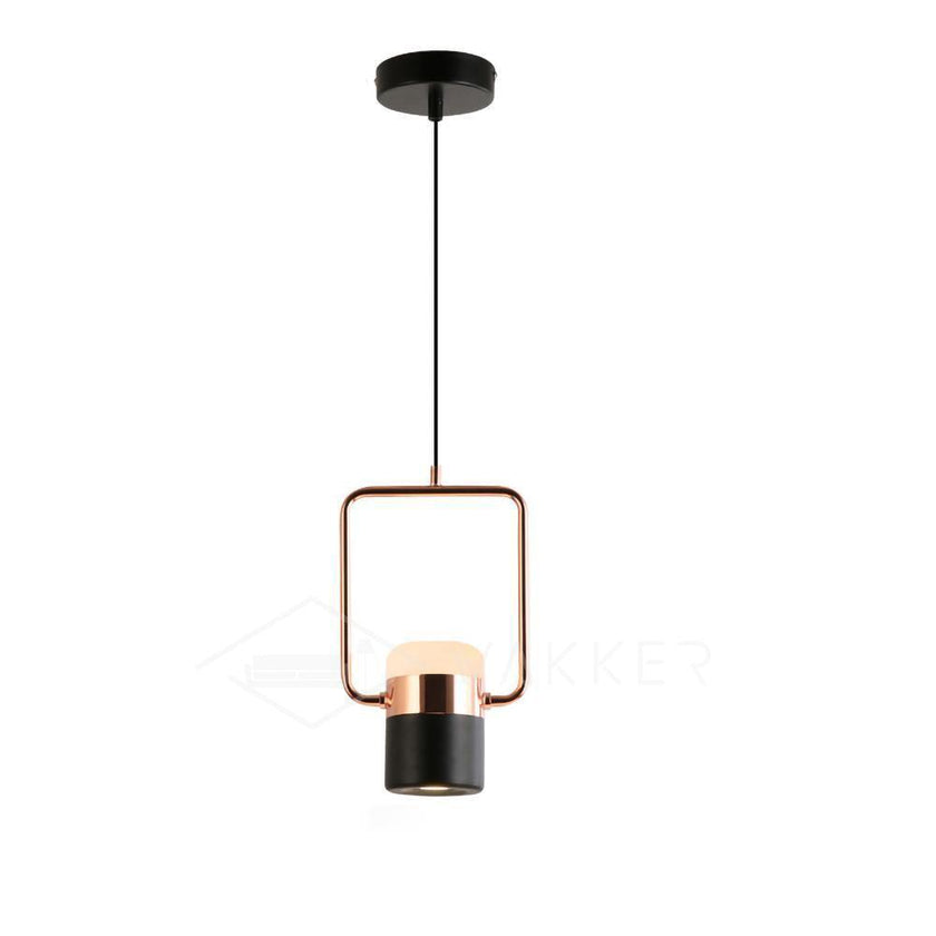 Iron Frame Tilting Pendant Light