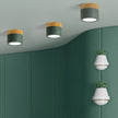Adjustable Minimalist Nordic Wood Spot Ceiling Lamp