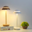 Rechargeable Double Mushroom USB Minimalist Scandinavian Table Lamp