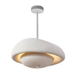 Calvrane Resin Sculptural Pendant Light