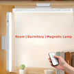 Dimmable Modern Magnetic USB LED Desk Lamp