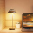 Rechargeable Double Mushroom USB Minimalist Scandinavian Table Lamp