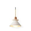 Minimalist Scandinavian Resin Pendant Lamp