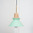Minimalist Scandinavian Resin Pendant Lamp