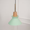 Minimalist Scandinavian Resin Pendant Lamp