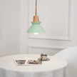 Minimalist Scandinavian Resin Pendant Lamp