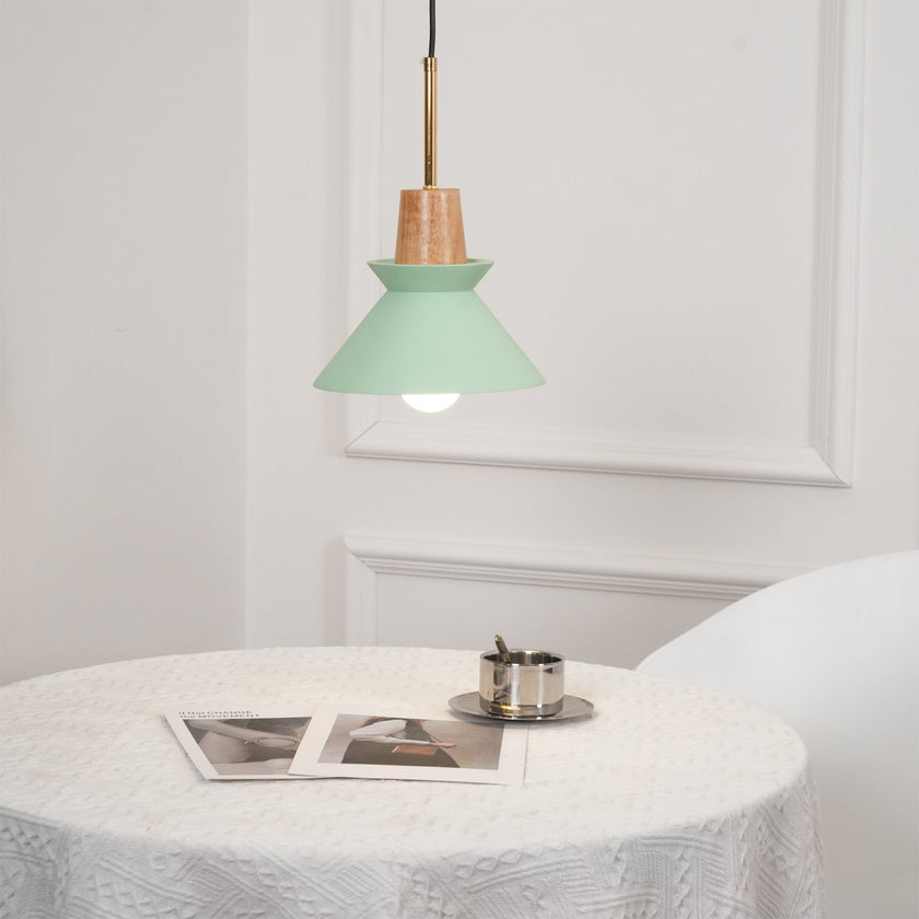 Minimalist Scandinavian Resin Pendant Lamp