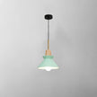 Minimalist Scandinavian Resin Pendant Lamp