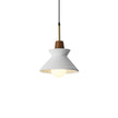Minimalist Scandinavian Resin Pendant Lamp