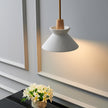 Minimalist Scandinavian Resin Pendant Lamp