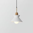 Minimalist Scandinavian Resin Pendant Lamp