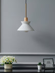 Minimalist Scandinavian Resin Pendant Lamp