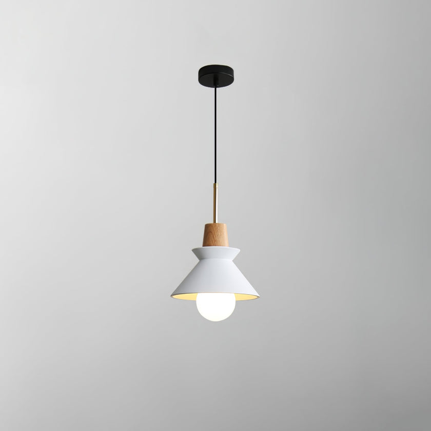 Minimalist Scandinavian Resin Pendant Lamp