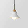 Minimalist Scandinavian Resin Pendant Lamp