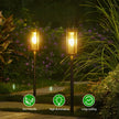 Modern Solar Powered Torch Light