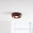 Metal & Glass LED Ceiling Light