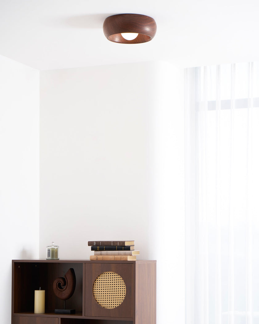 Metal & Glass LED Ceiling Light