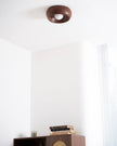 Metal & Glass LED Ceiling Light
