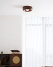 Metal & Glass LED Ceiling Light