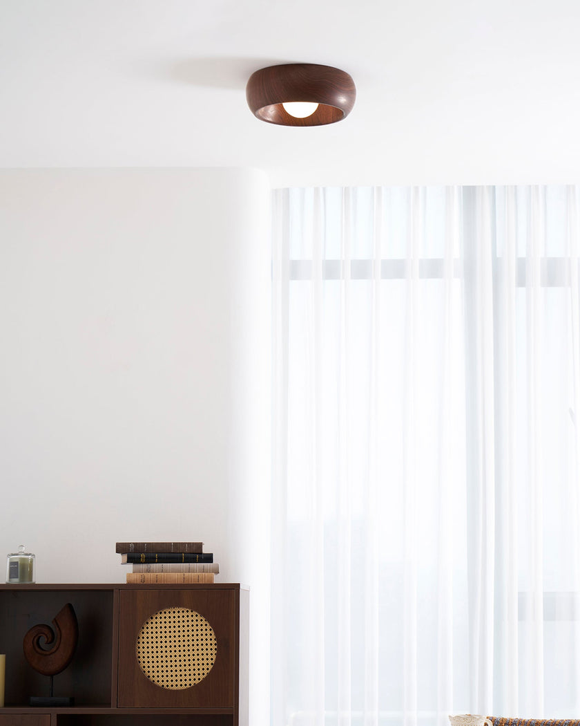 Metal & Glass LED Ceiling Light