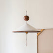 Metal & Acrylic Cone Pendant Lamp