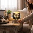 Luminous Crystal Ball lifestyle