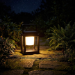 Solar Lantern night 10pm