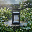 Solar Lantern morning 7am