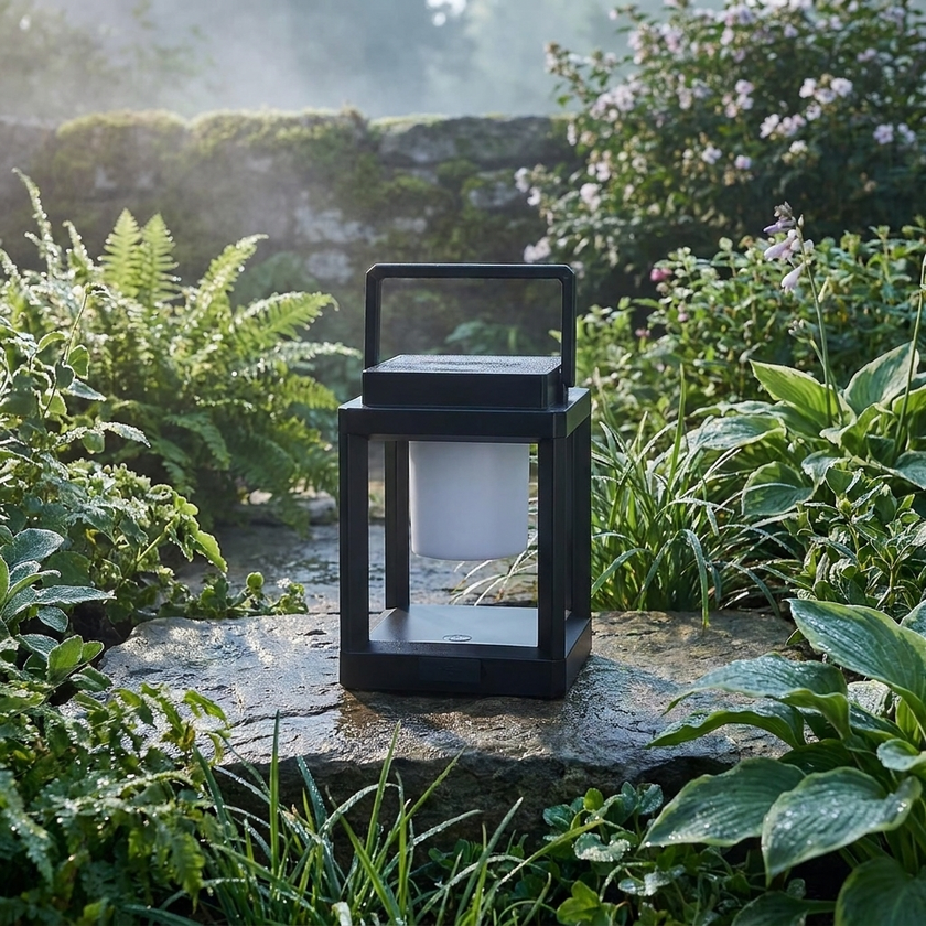 Solar Lantern morning 7am