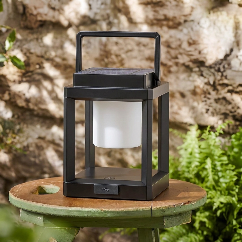 Solar Lantern closeup day