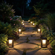 Solar Lantern pathway night