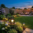 Solar Lantern wide backyard