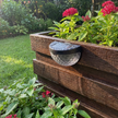 Solar Wall Lamp morning 7am