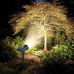 Solar spotlight illuminating garden tree at night