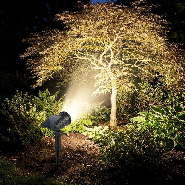Solar spotlight illuminating garden tree at night